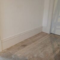 IMG_0245 IMG_0245
